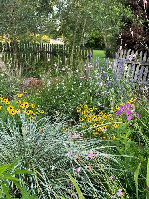 native plant garden