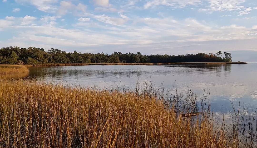 Davis Bayou Campground