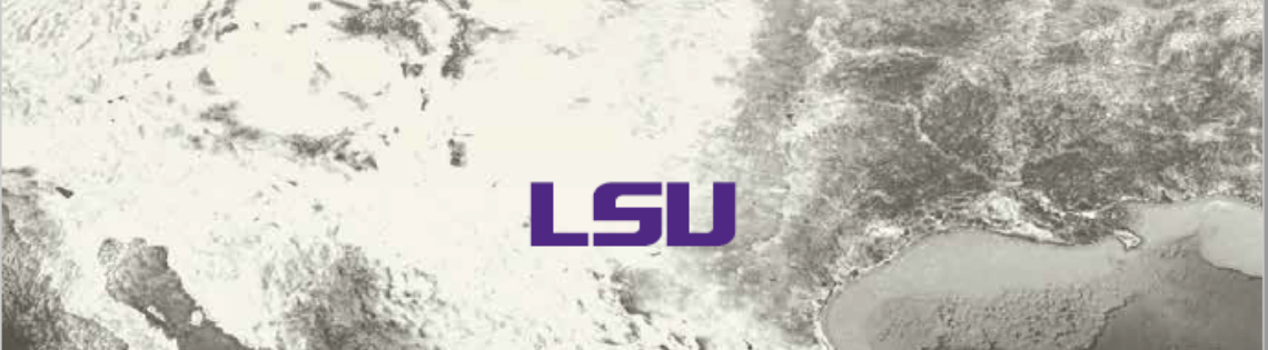 lsu 2025 strategic plan