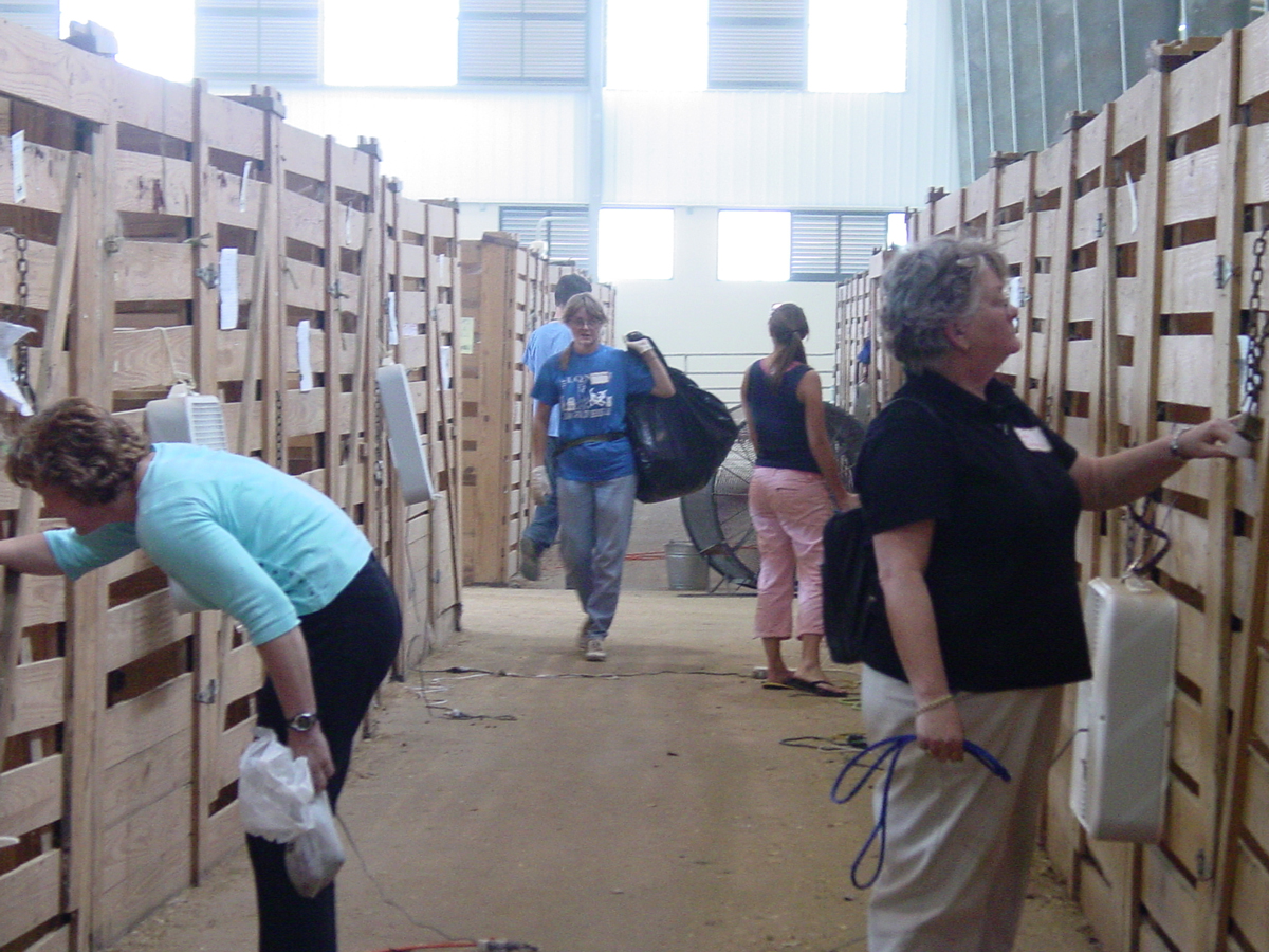 horse stalls in Parker Coliseum