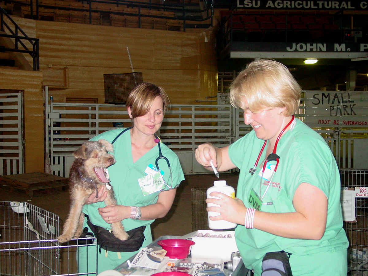 Veterinary studnets volunteer at the animal shelter