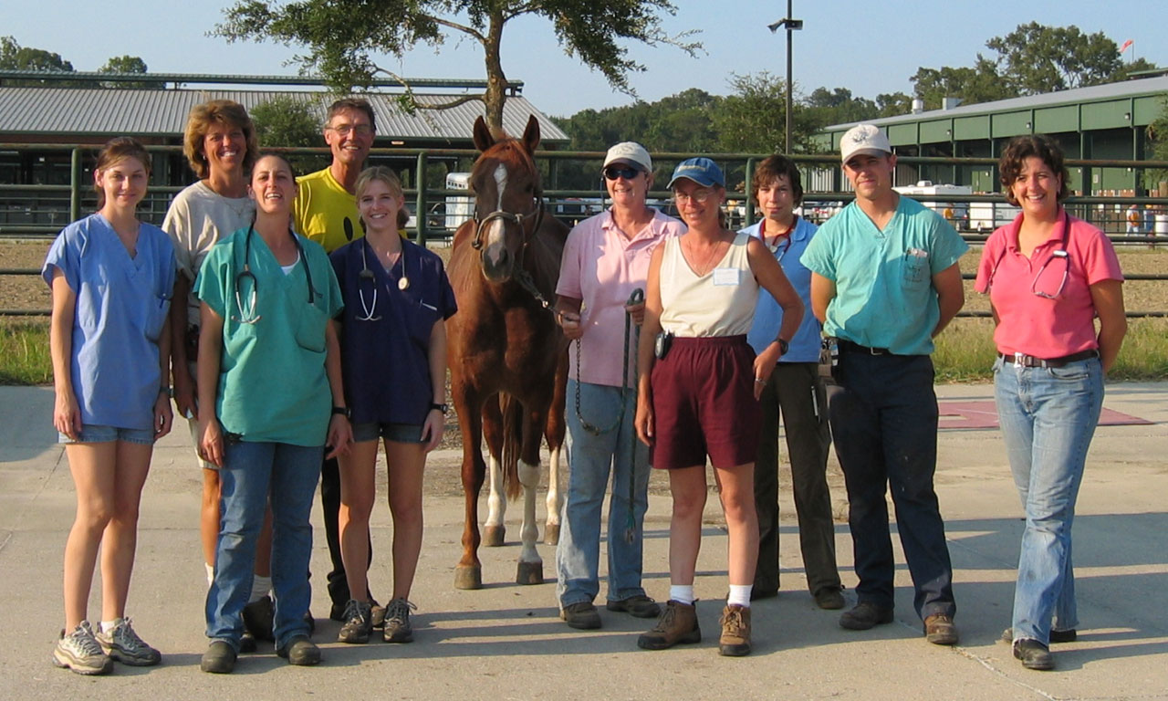 Katrina volunteers